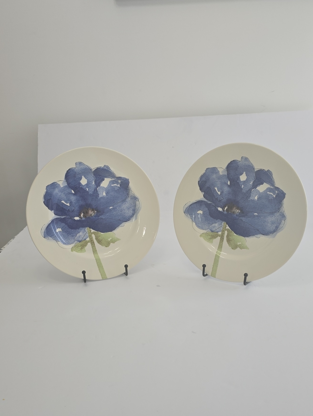 Royal Stafford Set Of 2 Blue Poppy Ceramic Dinner Plates Burslem England